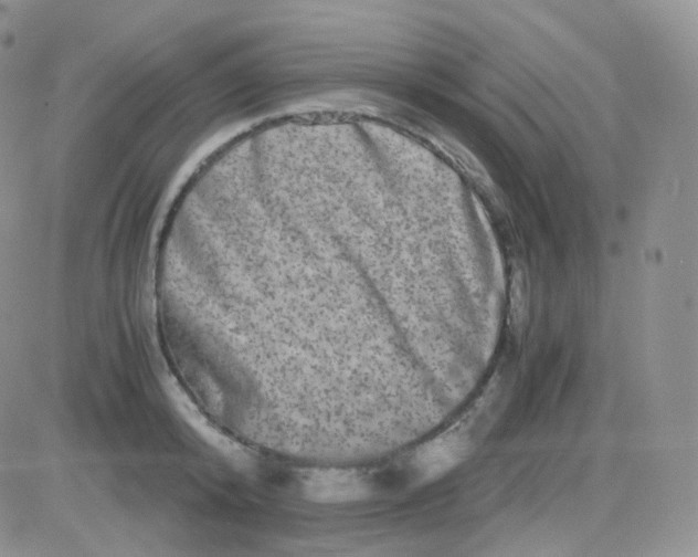 X0000081490800200701262052