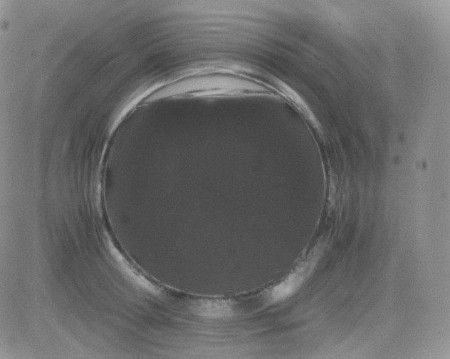 X0000081490802200701262052