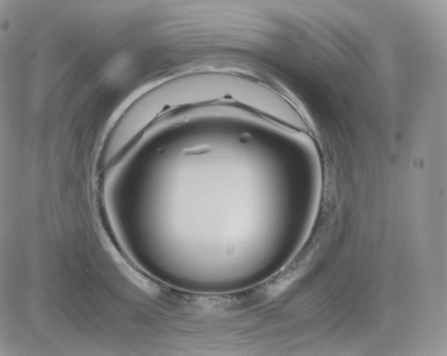 X0000081490803200701262052