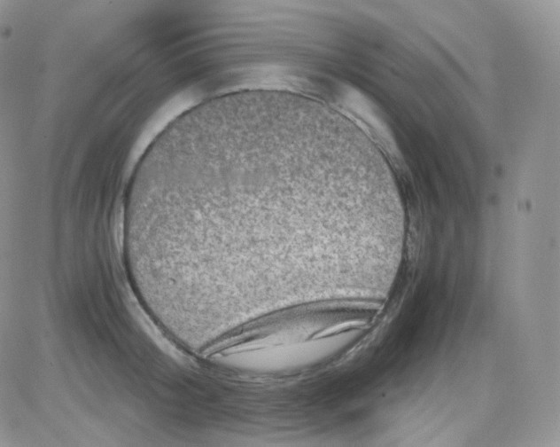 X0000081490804200701262052