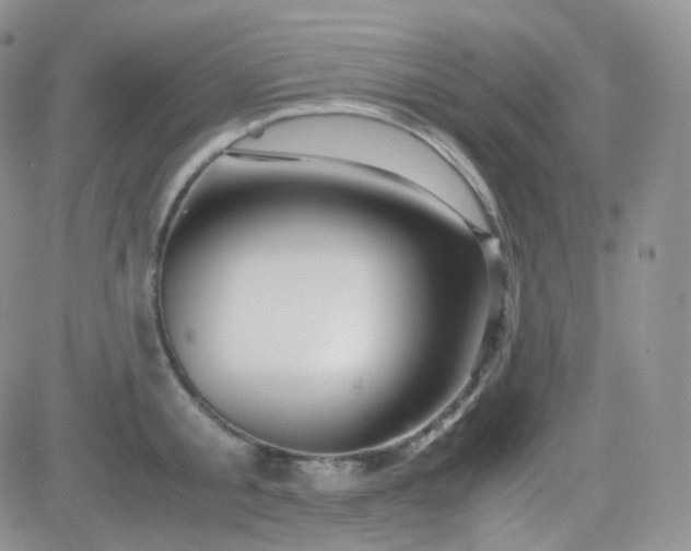 X0000081490805200701262052