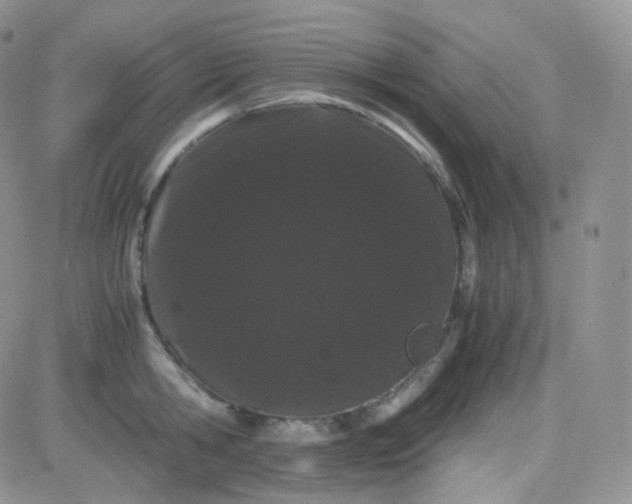 X0000081490806200701262052