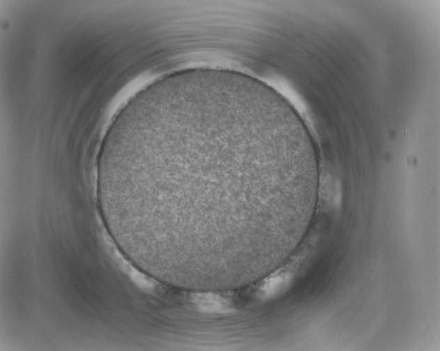 X0000081490807200701262052