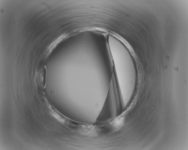 X0000081490809200701262052