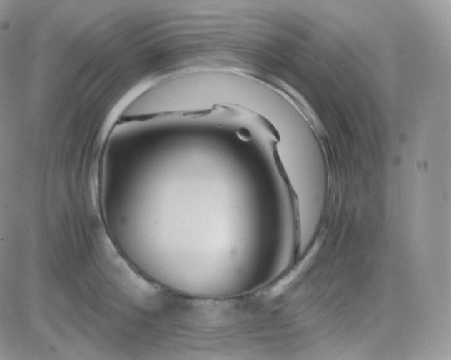 X0000081490812200701262052