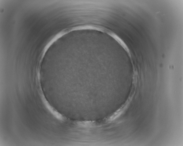 X0000081490813200701262052