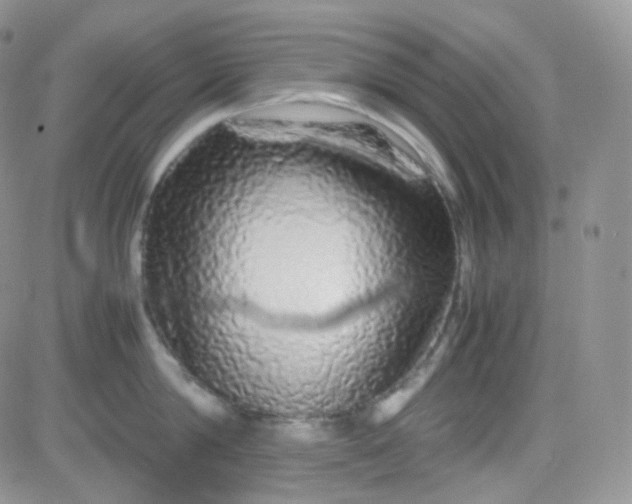 X0000081490814200701262052