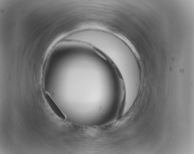 X0000081490815200701262052