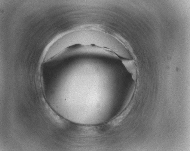 X0000081490816200701262052