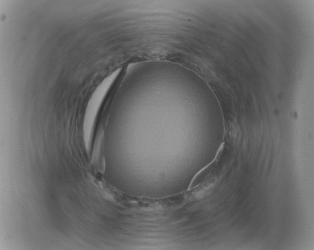 X0000081490818200701262051