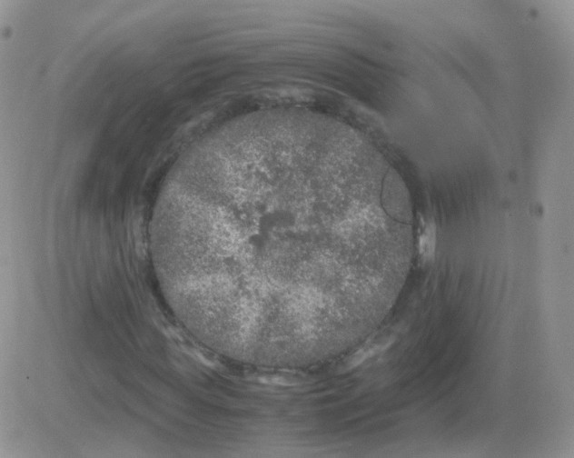 X0000081490819200701262051