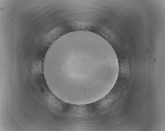 X0000081490820200701262051