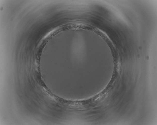 X0000081490823200701262051