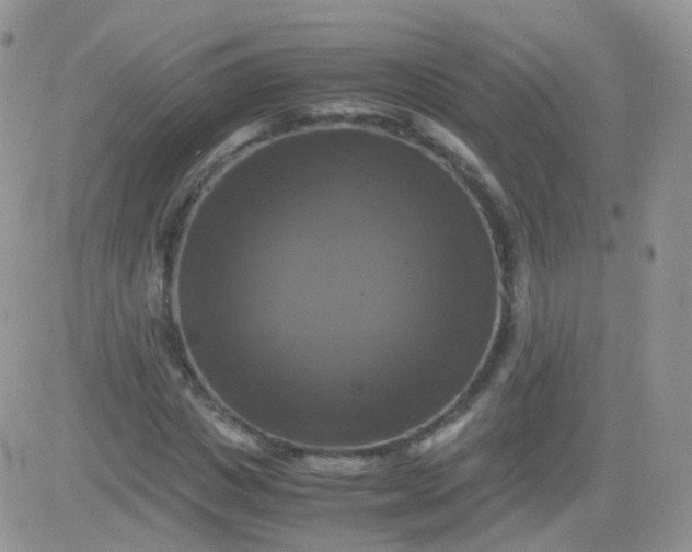 X0000081490825200701262051