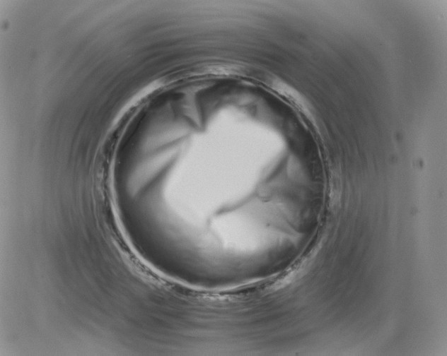 X0000081490827200701262051