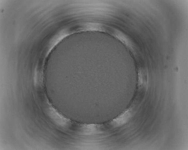 X0000081490828200701262051