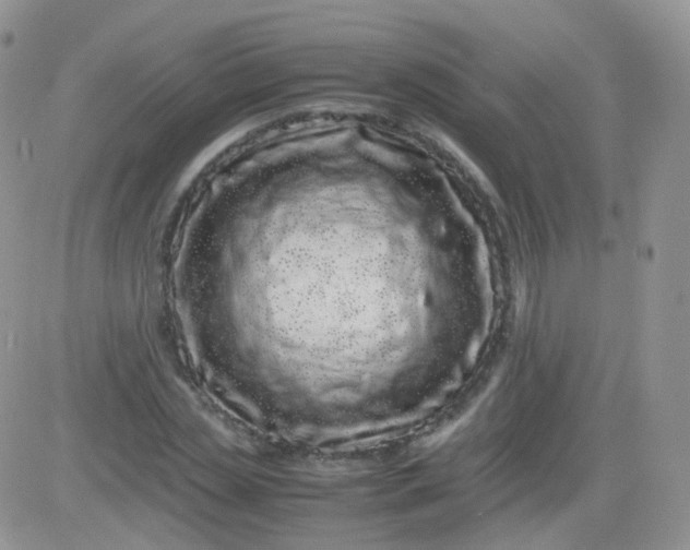 X0000081490829200701262051