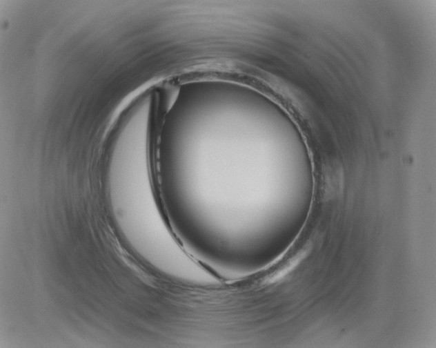 X0000081490830200701262051