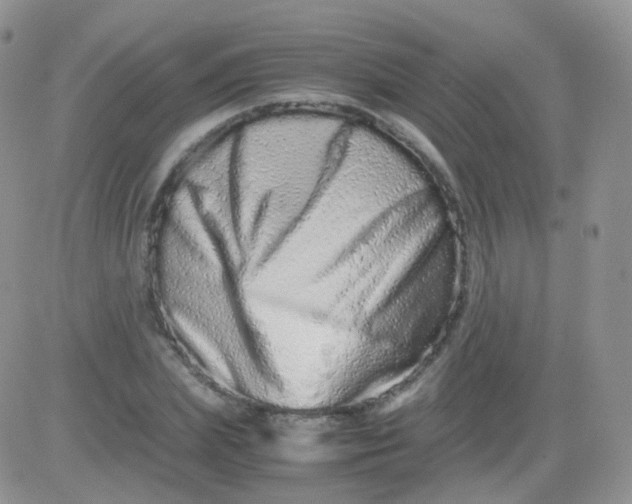 X0000081490831200701262051