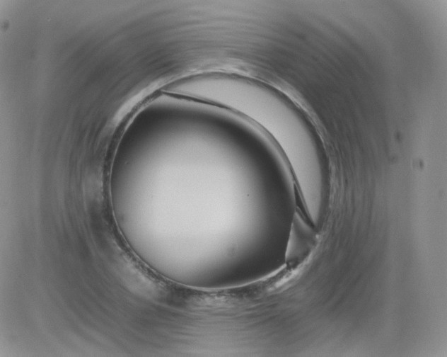 X0000081490834200701262051