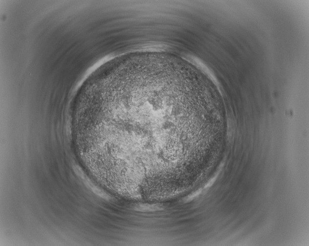 X0000081490835200701262051