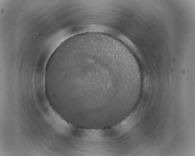 X0000081490836200701262051