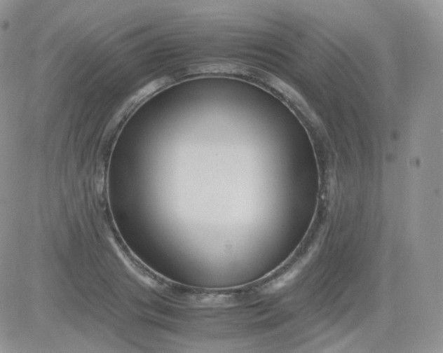 X0000081490841200701262052