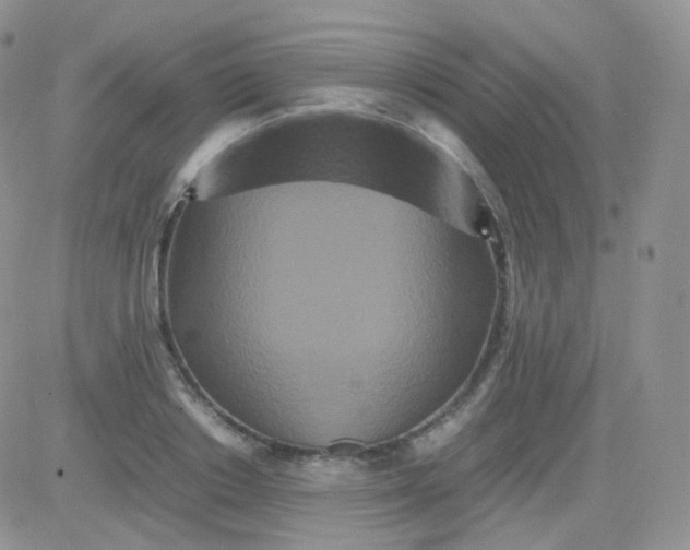 X0000081490842200701262052