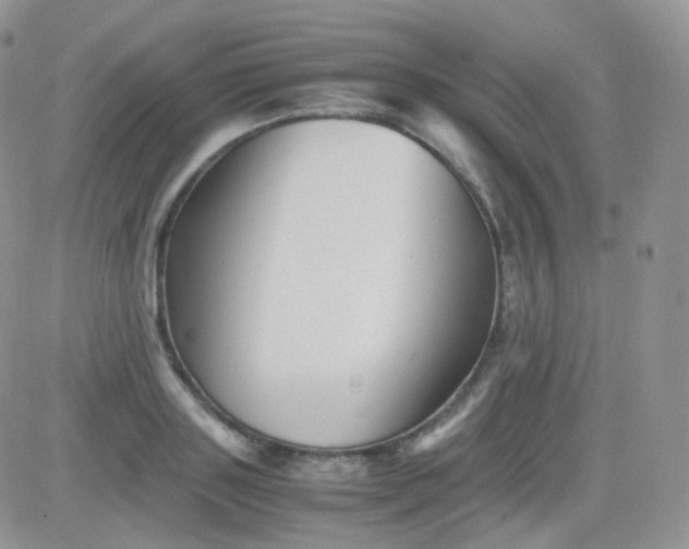 X0000081490843200701262052