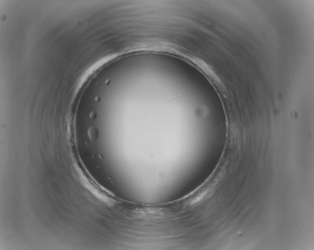 X0000081490846200701262052