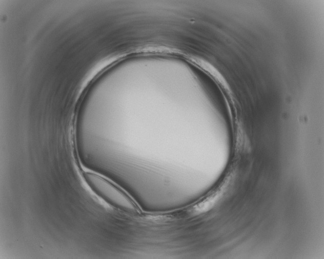 X0000081490847200701262052