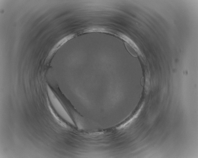 X0000081490849200701262052