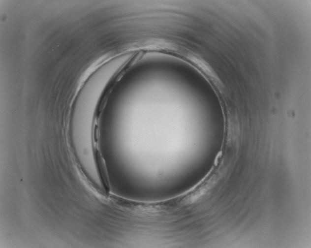 X0000081490850200701262052