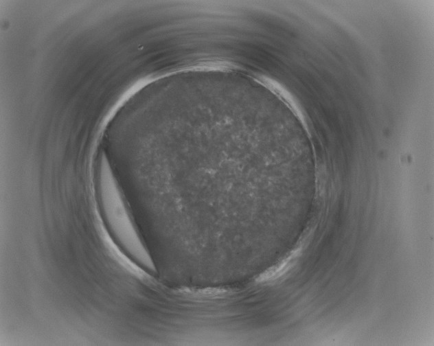 X0000081490851200701262052