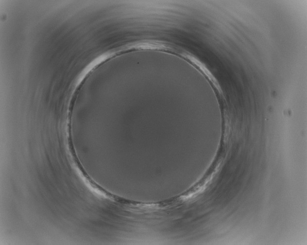 X0000081490853200701262052