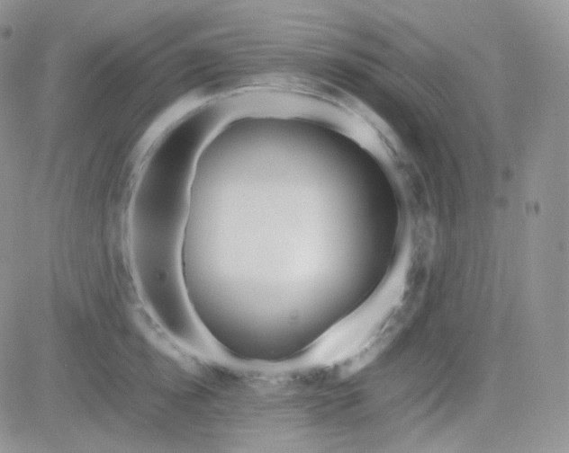 X0000081490854200701262052