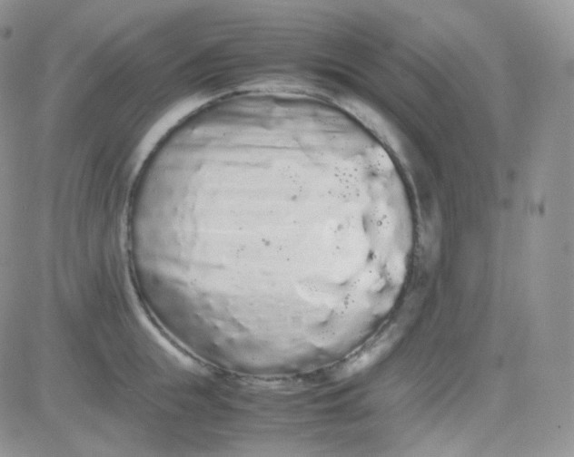 X0000081490855200701262052