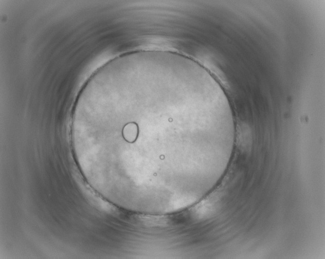 X0000081490856200701262052