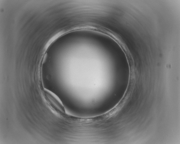 X0000081490858200701262052