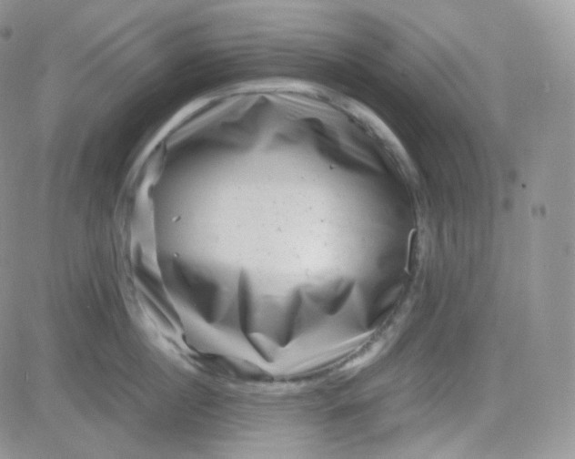 X0000081490860200701262052