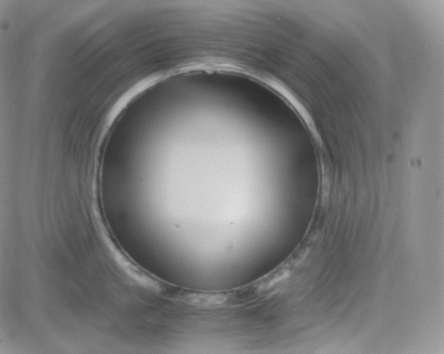 X0000081490861200701262052