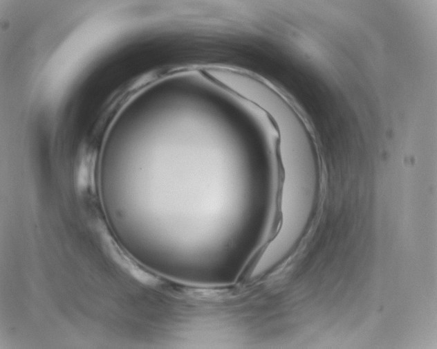 X0000081490862200701262052