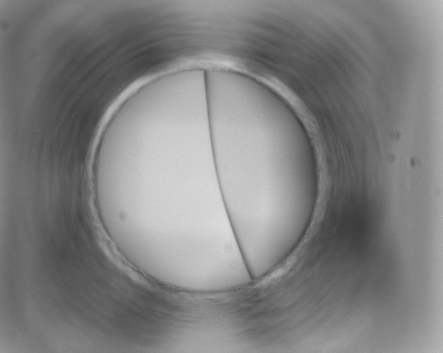 X0000081490864200701262052