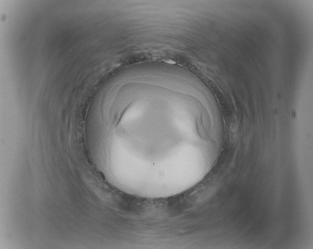 X0000081490865200701262051