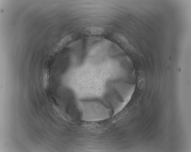 X0000081490866200701262051