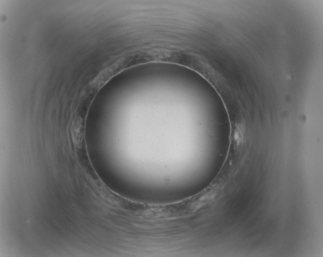 X0000081490867200701262051