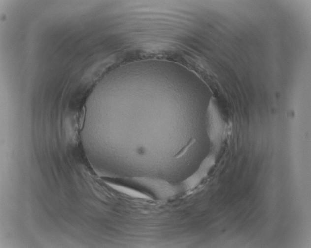 X0000081490868200701262051