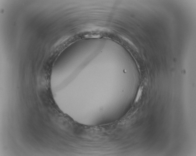 X0000081490869200701262051