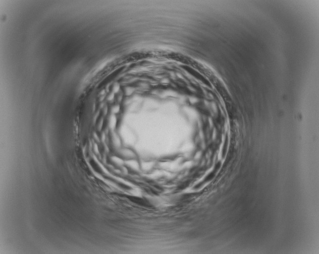 X0000081490871200701262051