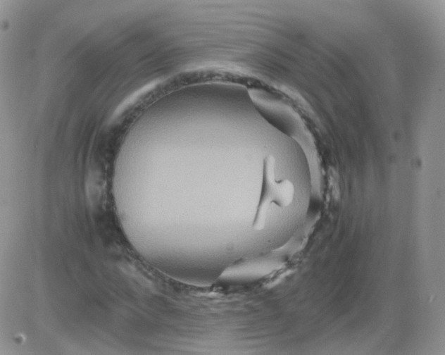 X0000081490872200701262051